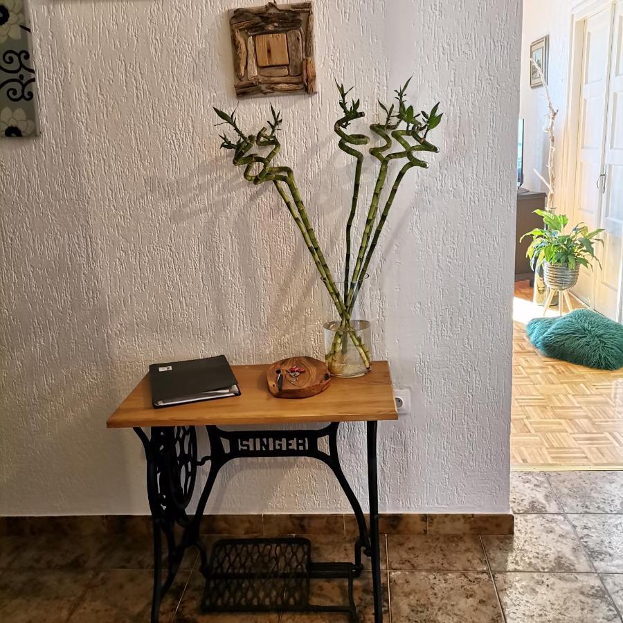 Apartman Flavia Rijeka Exterior photo